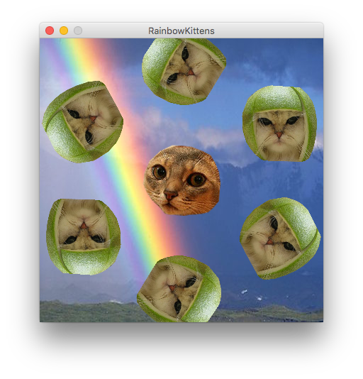 Rainbow Kittens